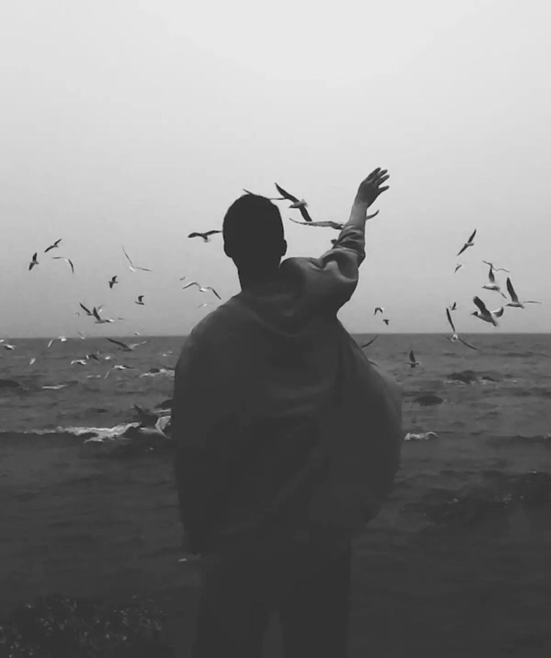 Birds Dear World Person Waving Suicide